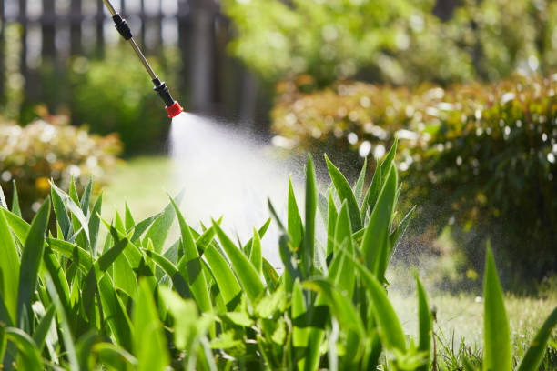 24/7 Emergency Mosquito Control experts in Wakefield, KS